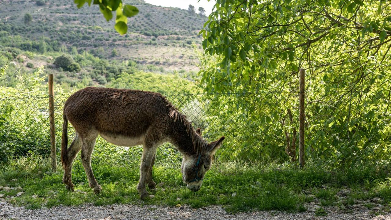 Casa Rural La Chocolateria Horche Ngoại thất bức ảnh